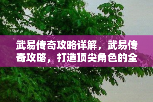 武易传奇攻略详解，武易传奇攻略，打造顶尖角色的全面指南