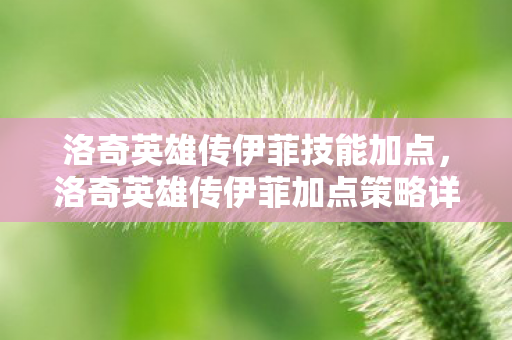 洛奇英雄传伊菲技能加点，洛奇英雄传伊菲加点策略详解
