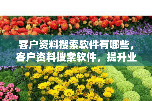 客户资料搜索软件有哪些，客户资料搜索软件，提升业务效率与合规性的利器