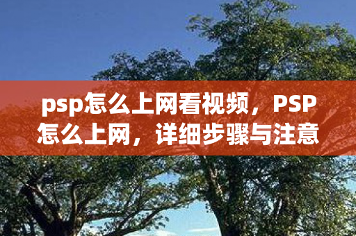 psp怎么上网看视频,PSP怎么上网,详细步骤与注意事项 psp怎么上网看视频,PSP怎么上网,详细步骤与注意事项
