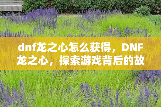 dnf龙之心怎么获得,DNF龙之心,探索游戏背后的故事与情感 dnf龙之心怎么获得,DNF龙之心,探索游戏背后的故事与情感