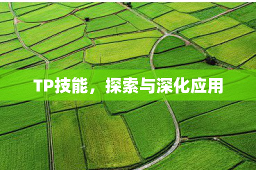 TP技能,探索与深化应用 TP技能,探索与深化应用