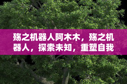 殇之机器人阿木木，殇之机器人，探索未知，重塑自我