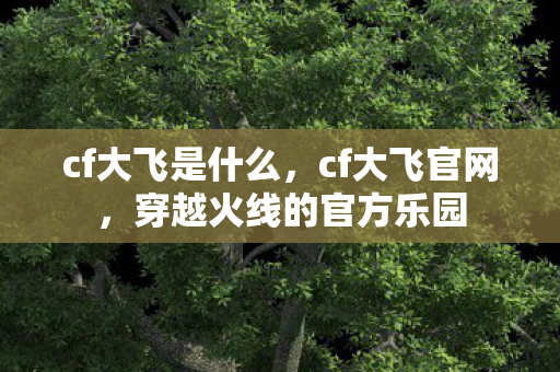 cf大飞是什么，cf大飞官网，穿越火线的官方乐园