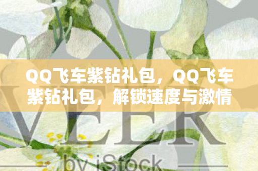 QQ飞车紫钻礼包，QQ飞车紫钻礼包，解锁速度与激情的钥匙