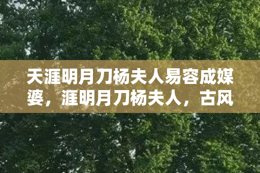 天涯明月刀杨夫人易容成媒婆，涯明月刀杨夫人，古风韵致与游戏世界的完美融合