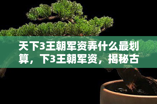 天下3王朝军资弄什么最划算，下3王朝军资，揭秘古代军事力量的巅峰