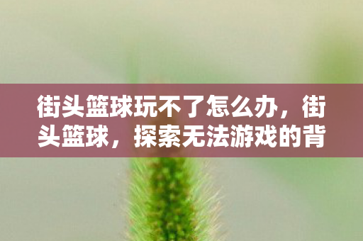 街头篮球玩不了怎么办，街头篮球，探索无法游戏的背后原因