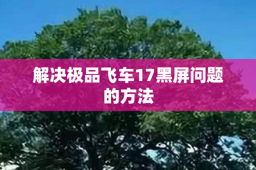 解决极品飞车17黑屏问题的方法