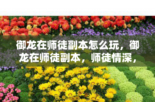 御龙在师徒副本怎么玩，御龙在师徒副本，师徒情深，共闯江湖