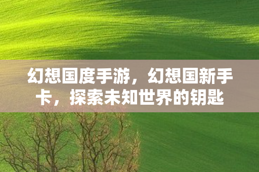 幻想国度手游，幻想国新手卡，探索未知世界的钥匙
