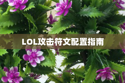 LOL攻击符文配置指南 LOL攻击符文配置指南
