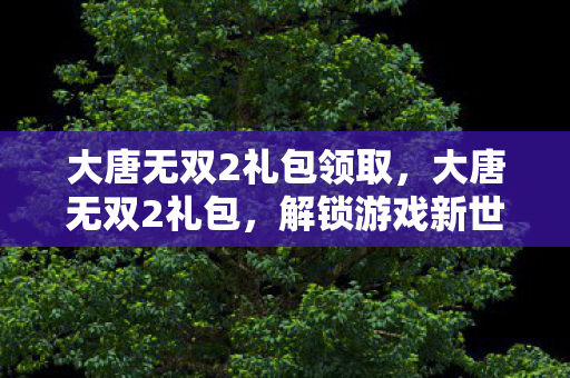 大唐无双2礼包领取，大唐无双2礼包，解锁游戏新世界的钥匙