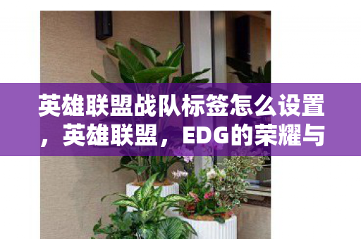 英雄联盟战队标签怎么设置,英雄联盟,EDG的荣耀与传承 英雄联盟战队标签怎么设置,英雄联盟,EDG的荣耀与传承