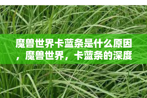 魔兽世界卡蓝条是什么原因，魔兽世界，卡蓝条的深度解析与应对策略