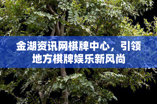 金湖资讯网棋牌中心,引领地方棋牌娱乐新风尚 金湖资讯网棋牌中心,引领地方棋牌娱乐新风尚