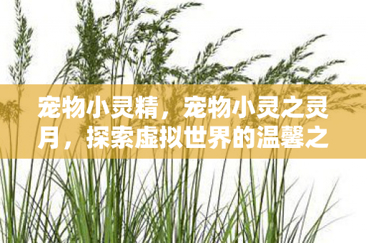 宠物小灵精，宠物小灵之灵月，探索虚拟世界的温馨之旅