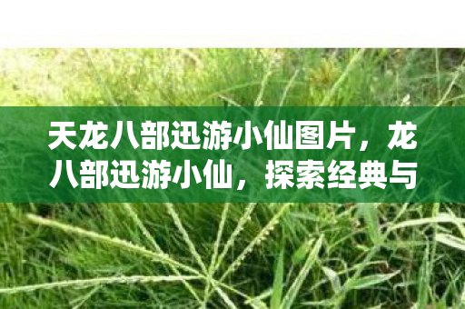 天龙八部迅游小仙图片，龙八部迅游小仙，探索经典与创新的武侠之旅