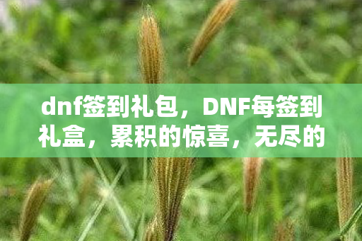dnf签到礼包，DNF每签到礼盒，累积的惊喜，无尽的冒险