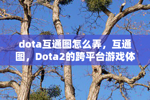 dota互通图怎么弄，互通图，Dota2的跨平台游戏体验
