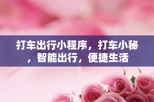打车出行小程序，打车小秘，智能出行，便捷生活