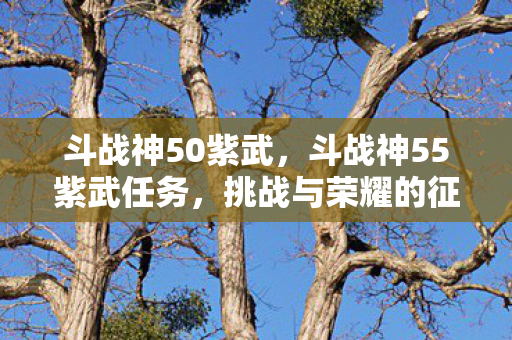 斗战神50紫武，斗战神55紫武任务，挑战与荣耀的征程