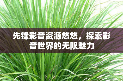 先锋影音资源悠悠，探索影音世界的无限魅力