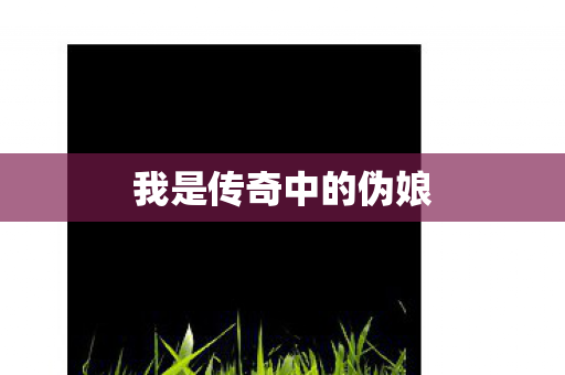 我是传奇中的伪娘 我是传奇中的伪娘