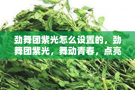 劲舞团紫光怎么设置的，劲舞团紫光，舞动青春，点亮梦想