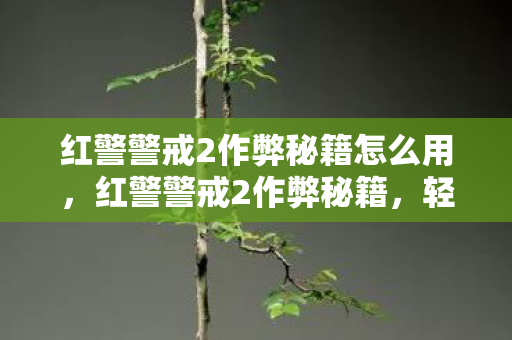 红警警戒2作弊秘籍怎么用，红警警戒2作弊秘籍，轻松获胜的五大技巧