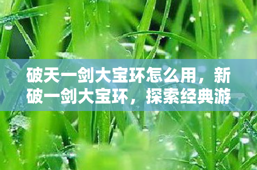 破天一剑大宝环怎么用，新破一剑大宝环，探索经典游戏的魅力与传承