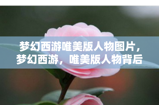 梦幻西游唯美版人物图片，梦幻西游，唯美版人物背后的艺术与文化