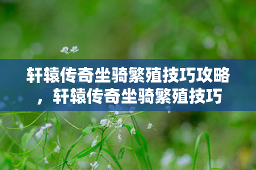 轩辕传奇坐骑繁殖技巧攻略，轩辕传奇坐骑繁殖技巧