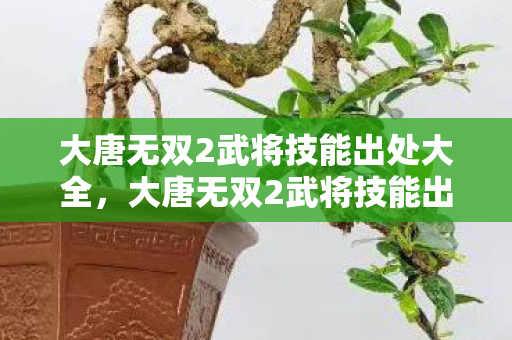 大唐无双2武将技能出处大全，大唐无双2武将技能出处，探寻历史与文化的传承