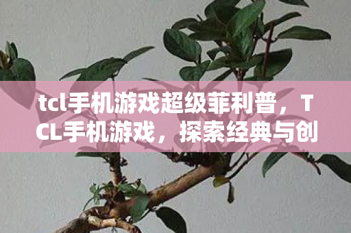 tcl手机游戏超级菲利普，TCL手机游戏，探索经典与创新的融合