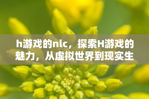 h游戏的nlc，探索H游戏的魅力，从虚拟世界到现实生活的桥梁