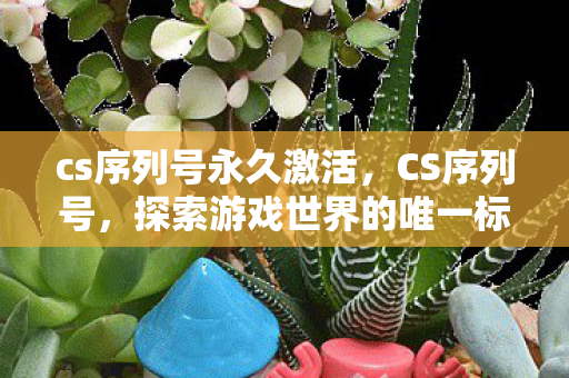 cs序列号永久激活，CS序列号，探索游戏世界的唯一标识