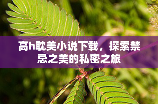 高h耽美小说下载，探索禁忌之美的私密之旅