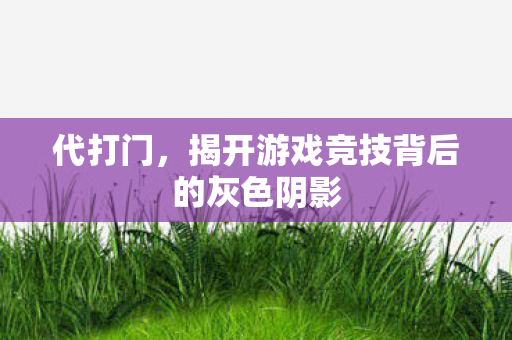 代打门，揭开游戏竞技背后的灰色阴影