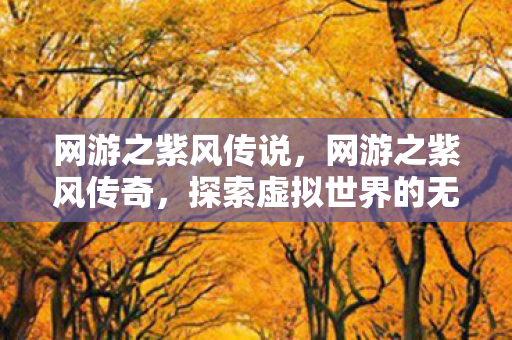 网游之紫风传说，网游之紫风传奇，探索虚拟世界的无尽魅力