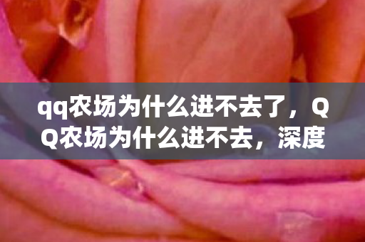 qq农场为什么进不去了，QQ农场为什么进不去，深度解析与解决方案