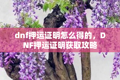 dnf押运证明怎么得的，DNF押运证明获取攻略