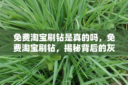 免费淘宝刷钻是真的吗，免费淘宝刷钻，揭秘背后的灰色产业链与风险