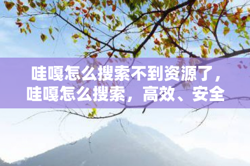 哇嘎怎么搜索不到资源了，哇嘎怎么搜索，高效、安全的资源搜索技巧