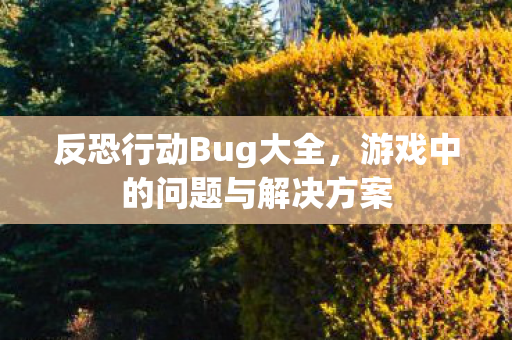 反恐行动Bug大全，游戏中的问题与解决方案