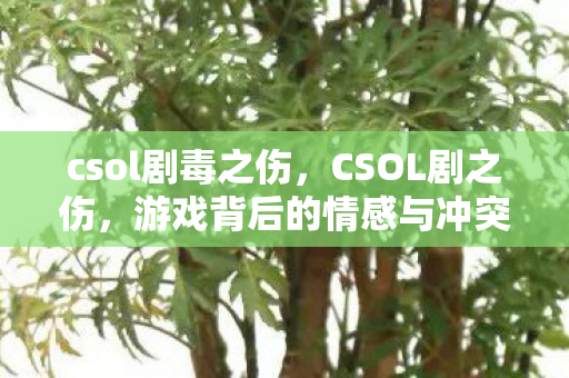 csol剧毒之伤，CSOL剧之伤，游戏背后的情感与冲突