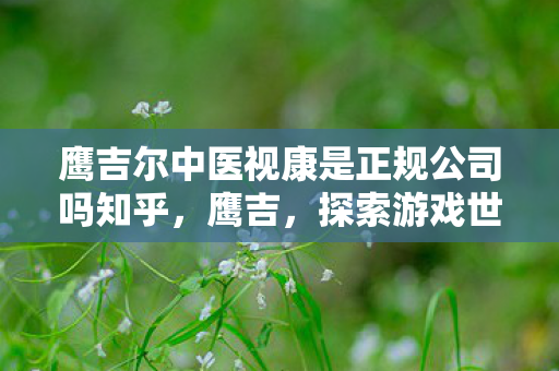 鹰吉尔中医视康是正规公司吗知乎，鹰吉，探索游戏世界的无限可能