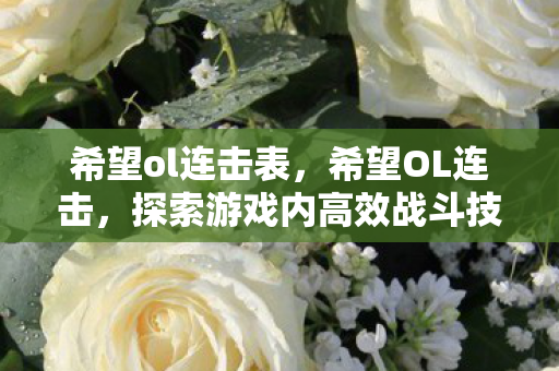 希望ol连击表，希望OL连击，探索游戏内高效战斗技巧