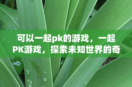 可以一起pk的游戏，一起PK游戏，探索未知世界的奇妙之旅