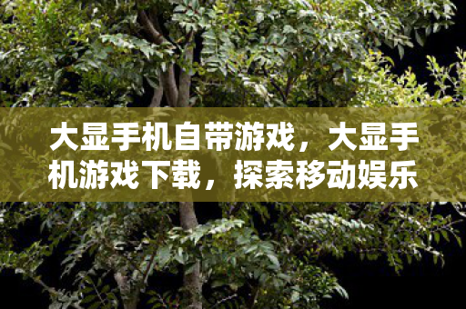 大显手机自带游戏，大显手机游戏下载，探索移动娱乐新境界